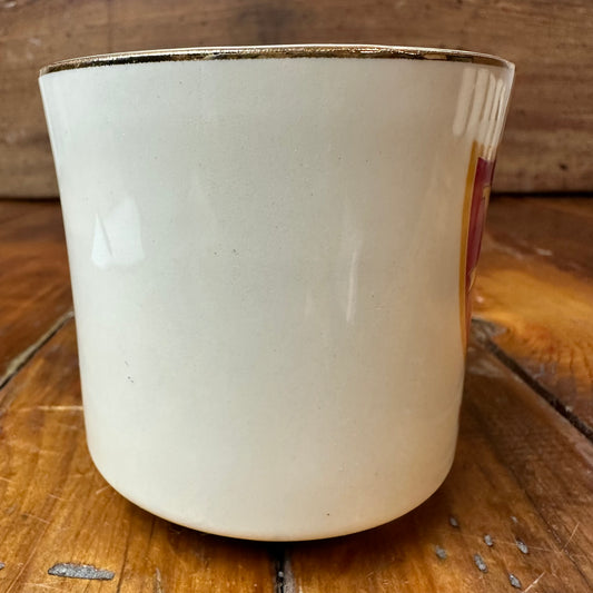 Boy Scout Mug Region 5