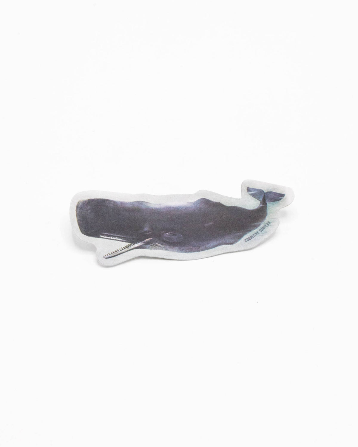 Sperm Whale