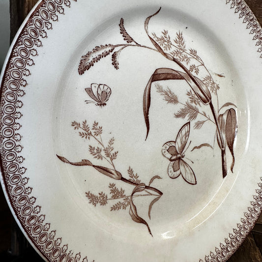 T&R Boote Summer Time Pattern Brown Transferware 8.75" Plate Dishes Floral Aesthetic Movement
