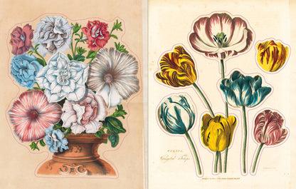 PREORDER - John Derian Sticker Book