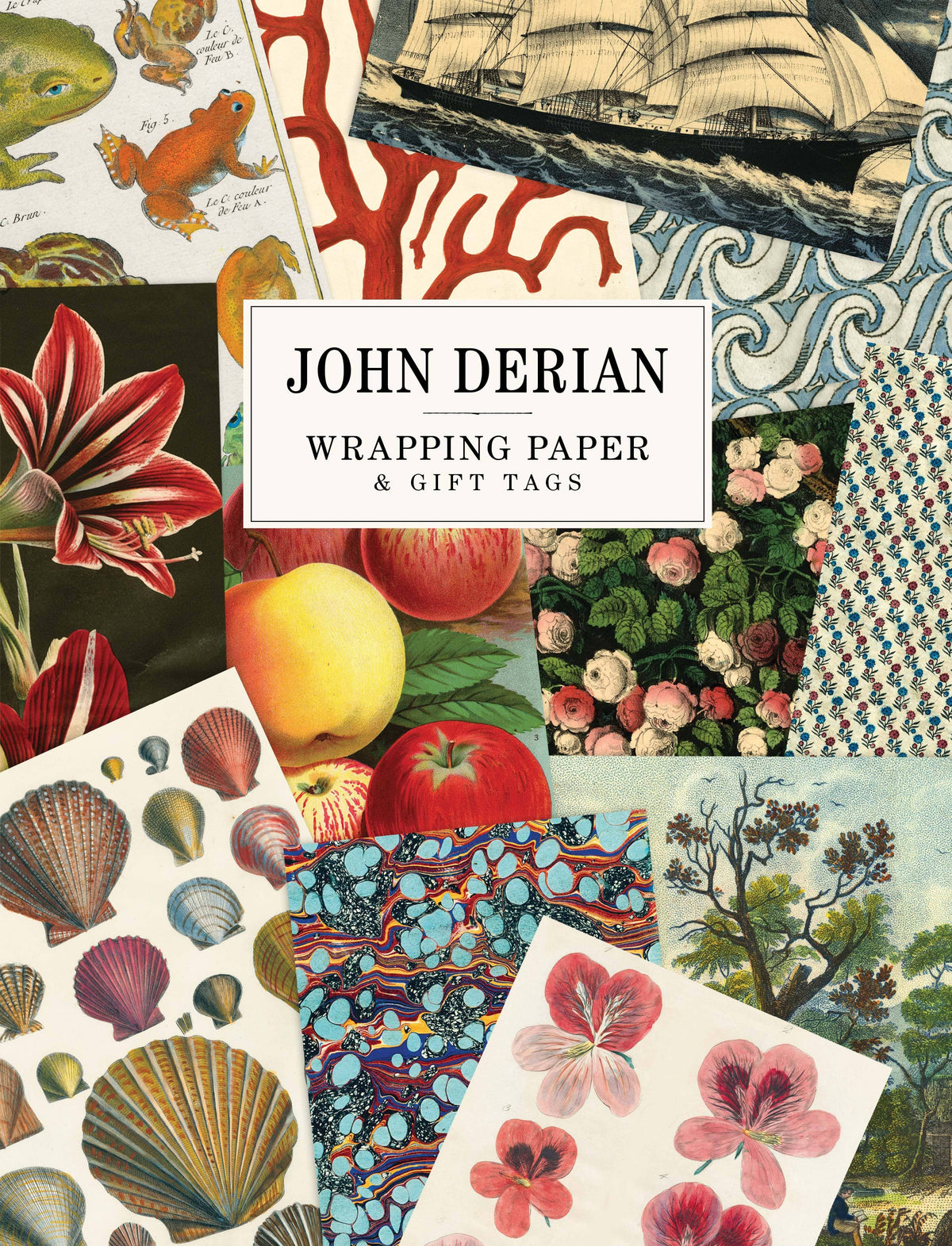 PREORDER - John Derian Paper Goods: Wrapping Paper & Gift Tags