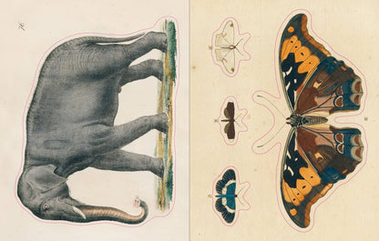 PREORDER - John Derian Sticker Book