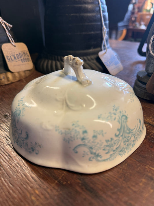 Orphaned Teal Transfer Lid