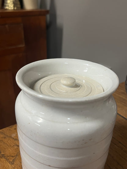 RAISINS - White Banded Kitchen Jar Canister with Lid