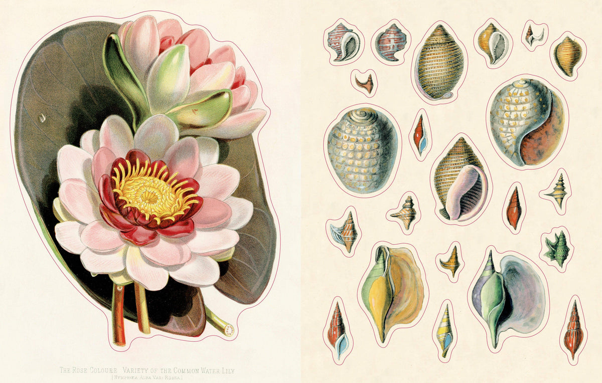 PREORDER - John Derian Sticker Book II