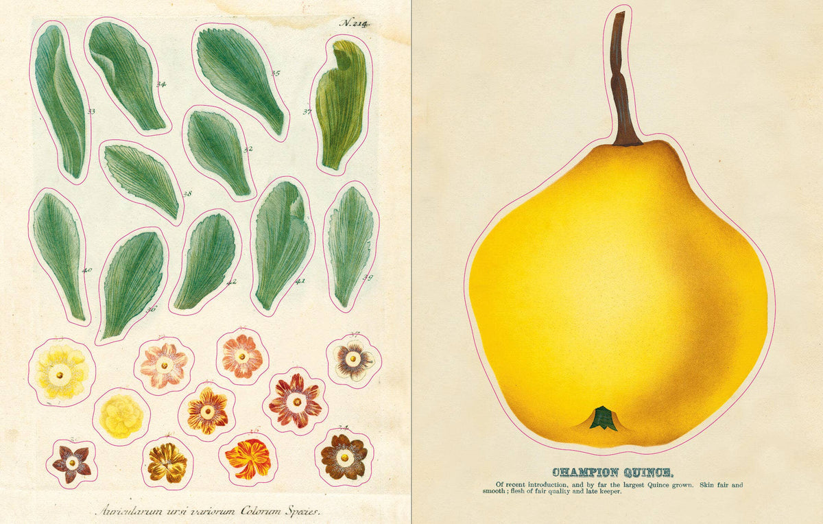 PREORDER - John Derian Sticker Book