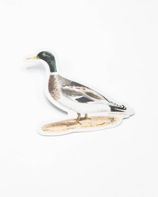 Mallard Sticker