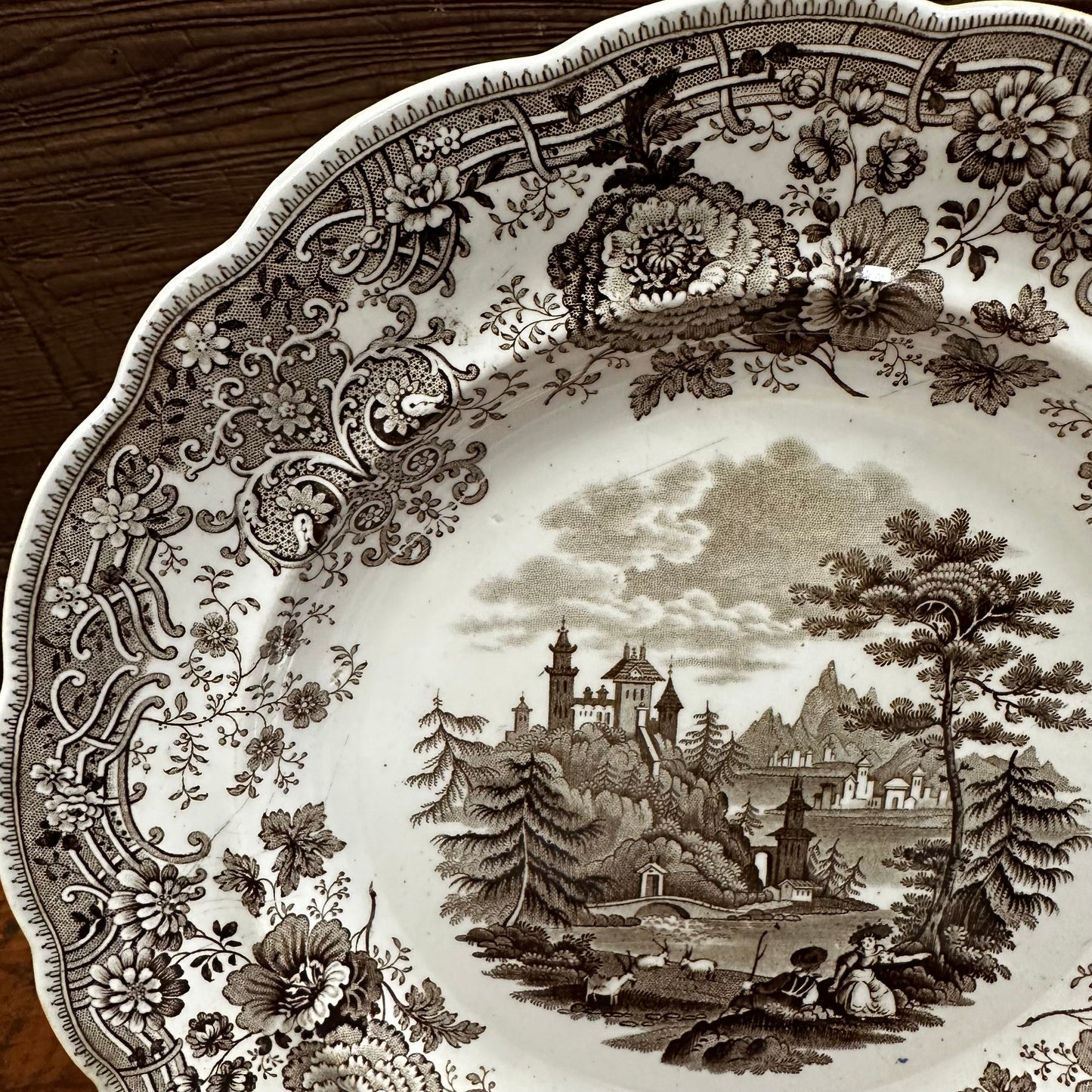 Brown Transferware 9 1/4" Plate W R & Co Tyrolean