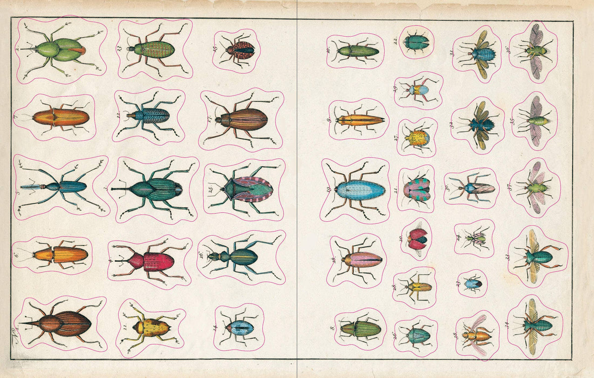 PREORDER - John Derian Sticker Book