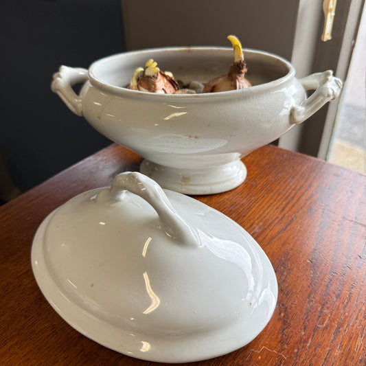 Ironstone Covered Dish with Paperwhites