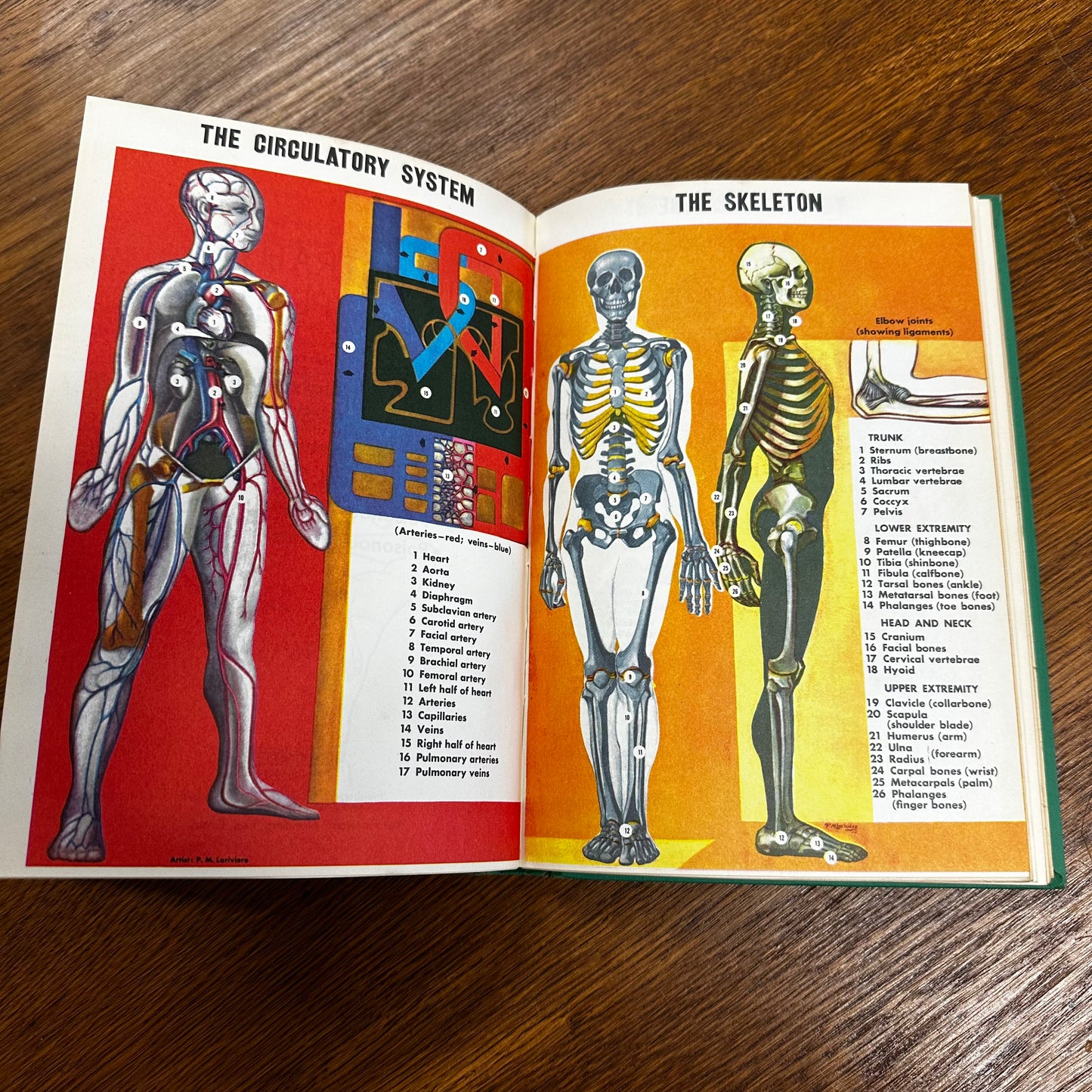 Vintage First Aid Book American Red Cross