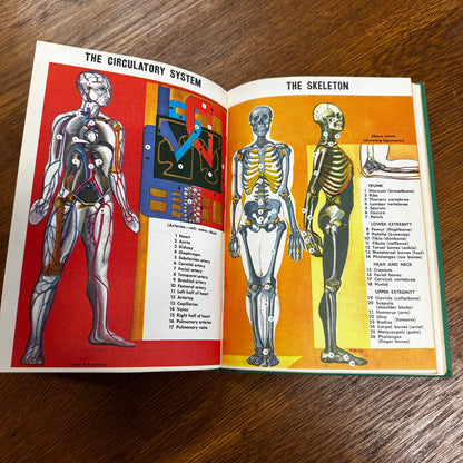 Vintage First Aid Book American Red Cross