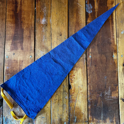 Vintage Niagara Falls Felt Pennant