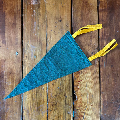 Vintage Howe Caverns Felt Pennant