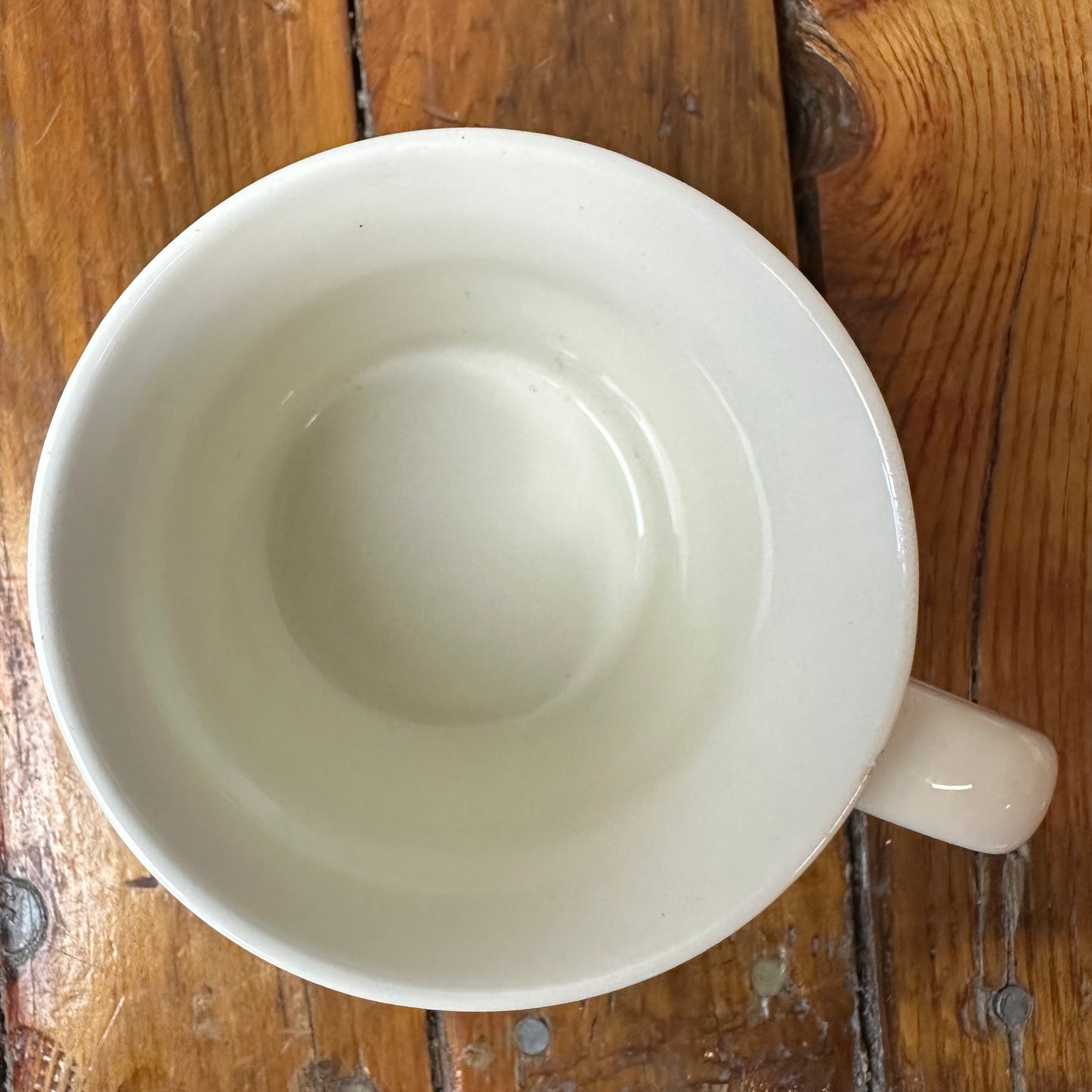 Boy Scout Mug Massawepie Scout Camps Forester