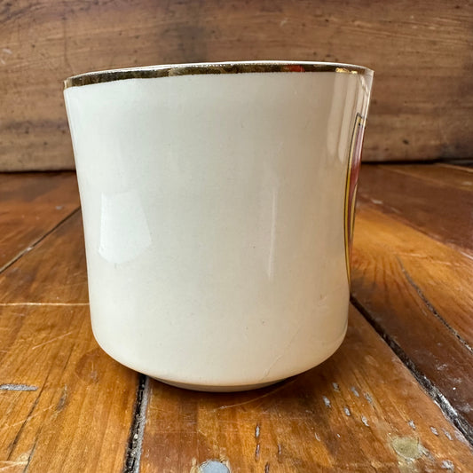 Boy Scout Mug Schiff Scout Reservation