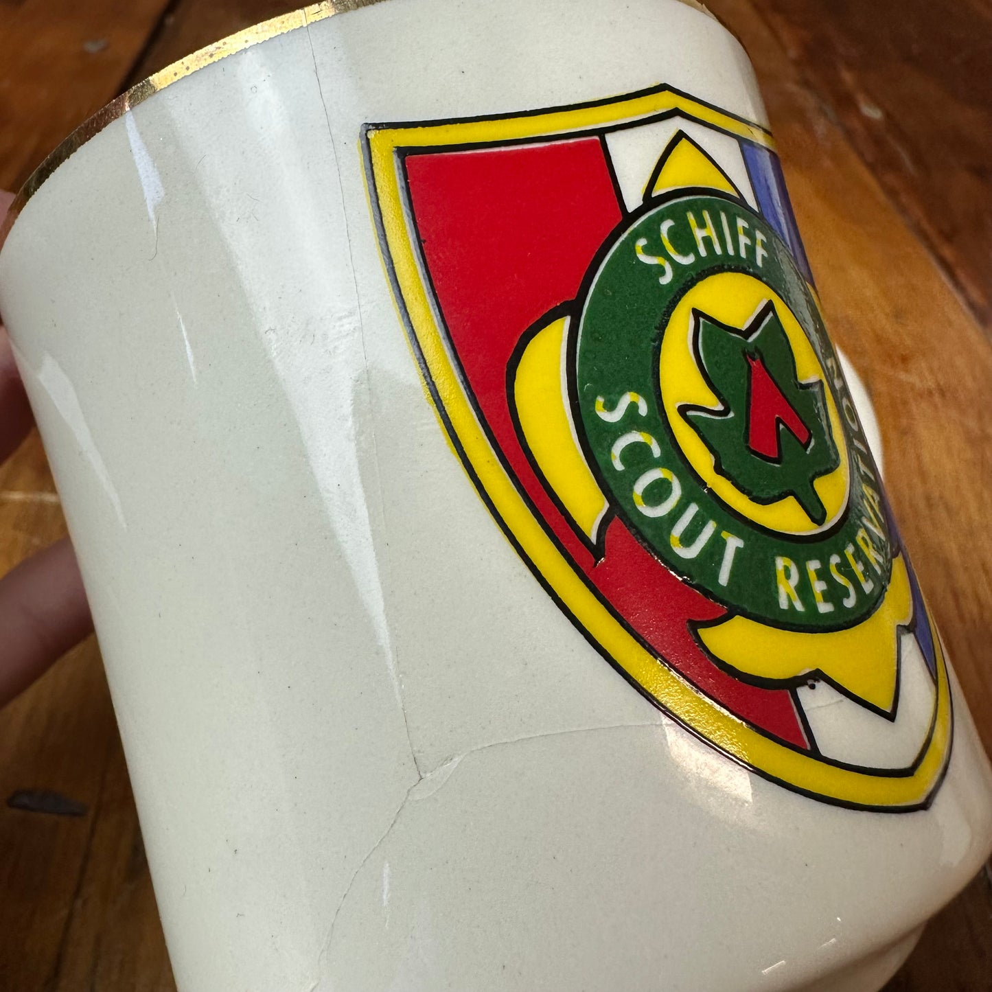 Boy Scout Mug Schiff Scout Reservation