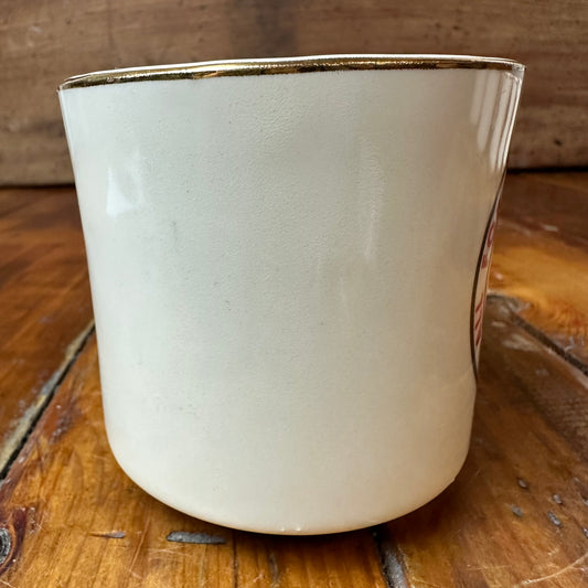 Boy Scout Mug Region 1 All for One One for All New England