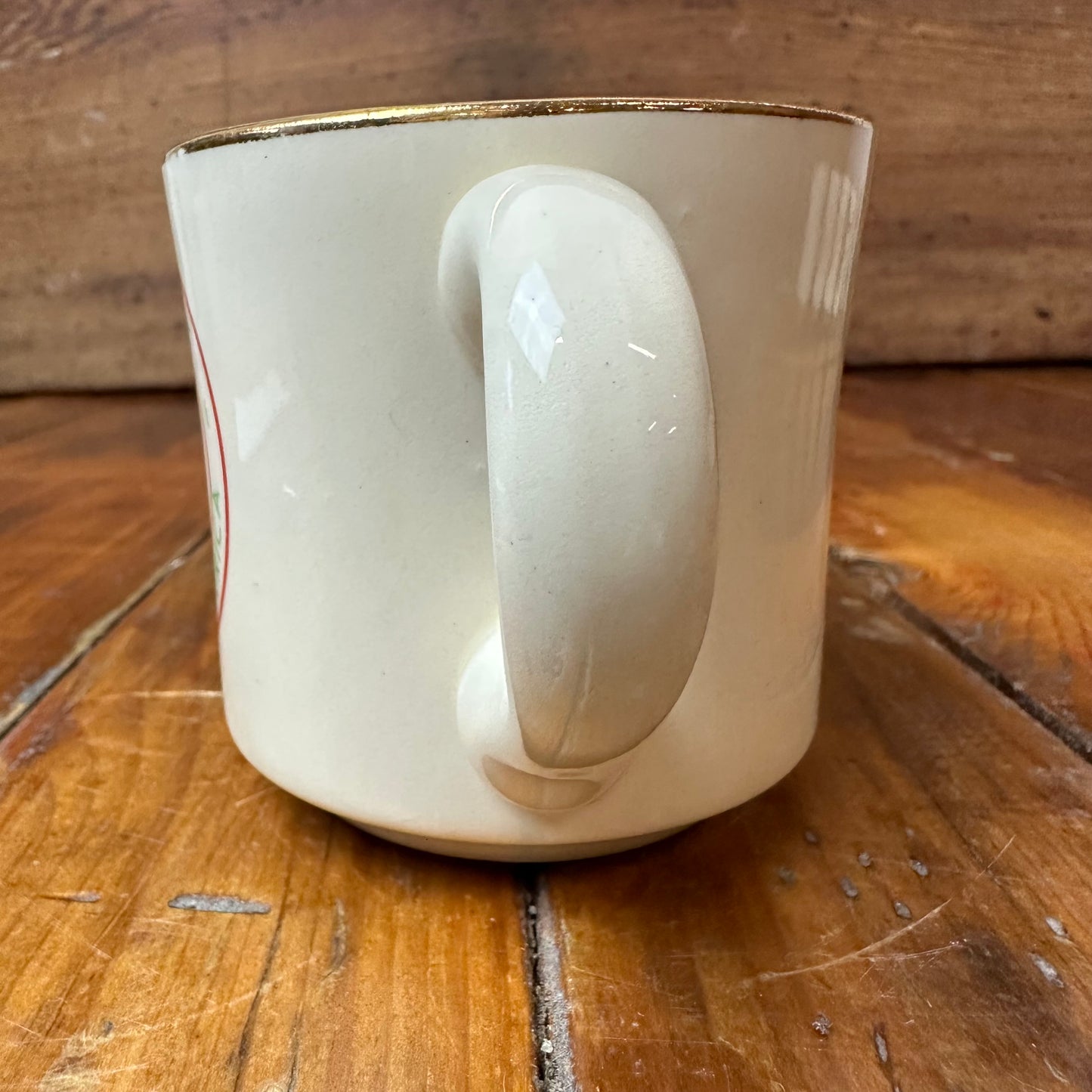 Boy Scout Mug Region 6 FL GA SC NC