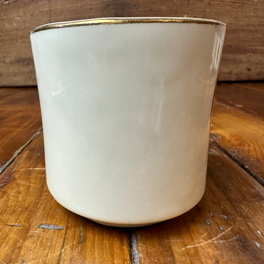 Boy Scout Mug Region 8 Great Central West Bucking Bronco