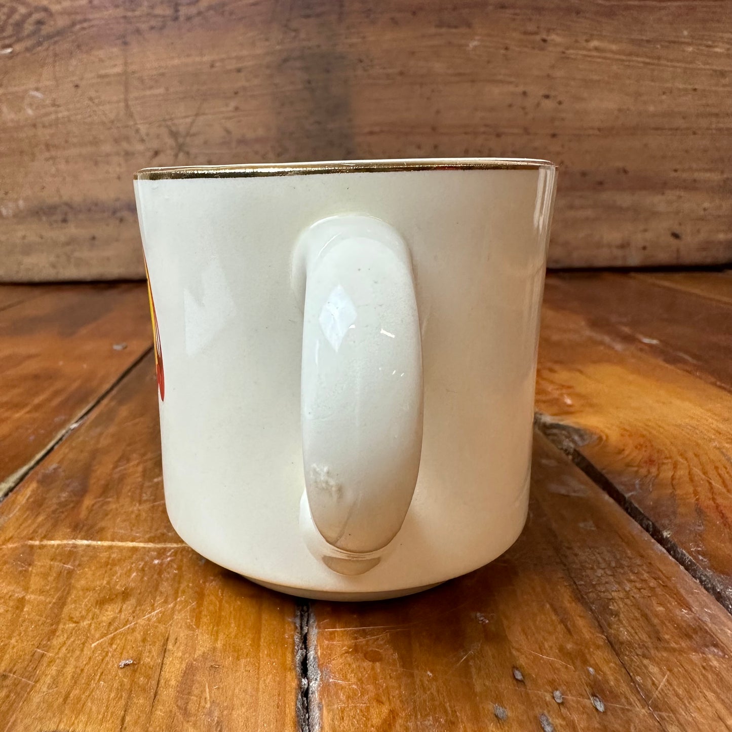 Boy Scout Mug Region 9 Dream Catcher Buffalo