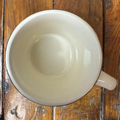 Boy Scout Mug Region 9 Dream Catcher Buffalo