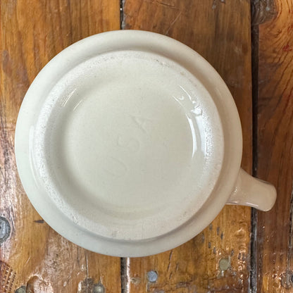 Boy Scout Mug Region 9 Dream Catcher Buffalo