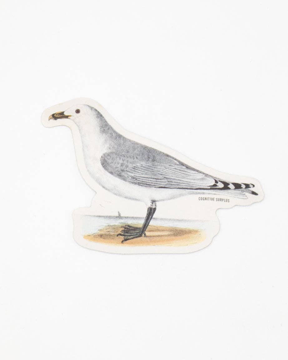 American Gull Sticker