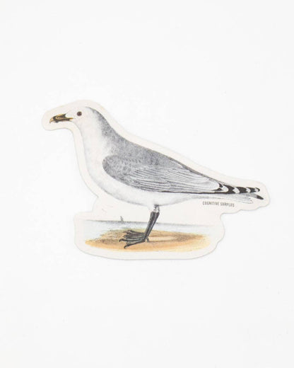 American Gull Sticker