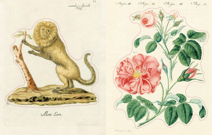 PREORDER - John Derian Sticker Book II