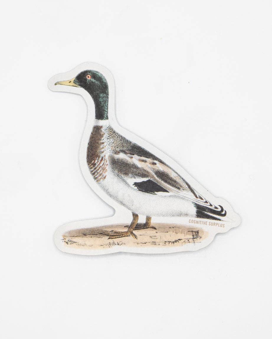 Mallard Sticker