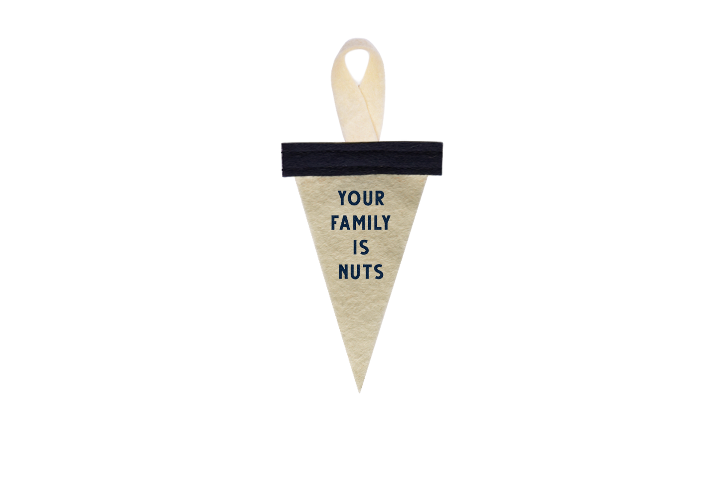 Your Family Is Nuts Mini Ornament Pennant
