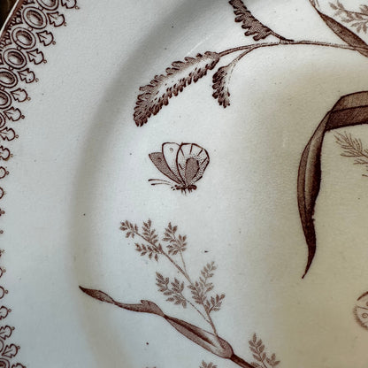 T&R Boote Summer Time Pattern Brown Transferware 8.75" Plate Dishes Floral Aesthetic Movement